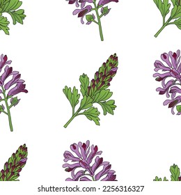 Medicinal herbs collection. Vector graphic seamless pattern with fumaria officinalis plants on a white background