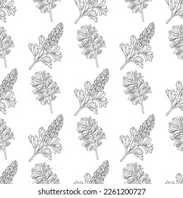 Medicinal herbs collection. Vector graphic seamless pattern with fumaria officinalis plants on a white background