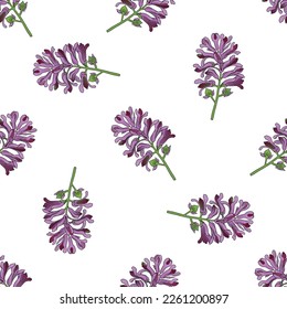Medicinal herbs collection. Vector graphic seamless pattern with fumaria officinalis plants on a white background