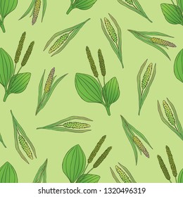 Medicinal herbs collection. Vector hand drawnseamless pattern with plants  acorus calamus and  plantago on a light green backround