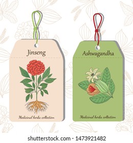 Medicinal herbs collection. Vector hand drawn illustration of ayurvedic plants ashwagandha and ginseng