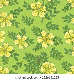 Medicinal herbs collection. Vector hand drawn seamless pattern with a plant Tribulus Terrestris on a light backround