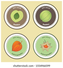 Medicinal herbs collection. Vector hand drawn illustrations of a medicinal plants Emblica and Ashwagandha. Label templates