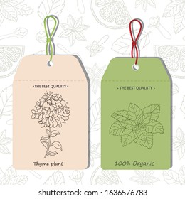 Medicinal herbs collection. Vector hand drawn illustration of thyme and peppermint plants on two price tags