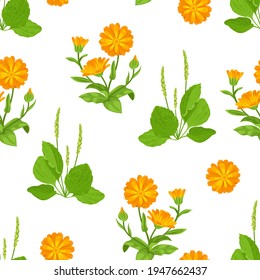 Medicinal herbs and flowers seamless pattern. Vector illustration of green plantain and orange marigold in cartoon flat style. Botanical background.