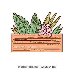 medicinal herbs icon isolated design