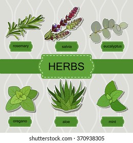medicinal herbs on a gray background