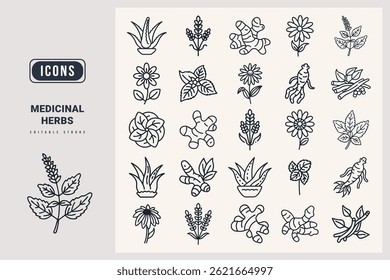 Medicinal herbs outline icon set. Aloe Vera, Lavender, Chamomile, Ginger, Peppermint, Turmeric, Echinacea, Ginseng, Holy Basil, Ashwagandha, outline icons.