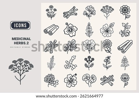 Medicinal herbs outline icon set. Yarrow, Licorice Root, Fenugreek, Cinnamon, Hibiscus, Mullein, Marshmallow Root, Gotu Kola, Red Clover, Skullcap, outline icons.