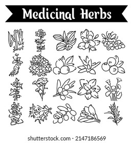 Medicinal herbs and plants line icons set. Isolated vector element. Outline pictograms for web page, mobile app, promo. Editable stroke.