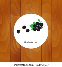 Medicinal herbs and plants on wood background. Blackcurrant.