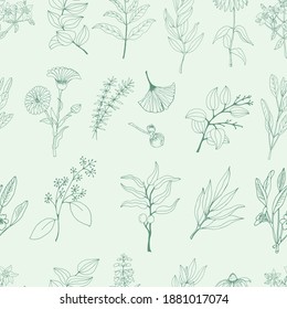 Medicinal herbs seamless pattern. A set of medicinal herbs and plants. Collection of hand drawn flowers and herbs. Botanical plant illustration. Vintage medicinal herbs sketch. 