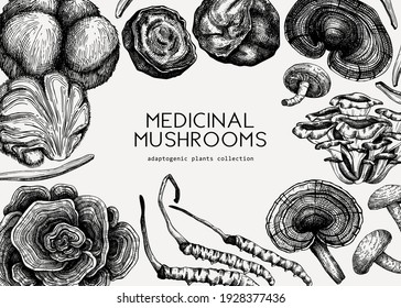 Medicinal mushroom background. Hand-sketched adaptogenic plants frame design. Perfect for recipe, menu, label, packaging. Hand sketched mushroom outlines. Botanical illustrations.