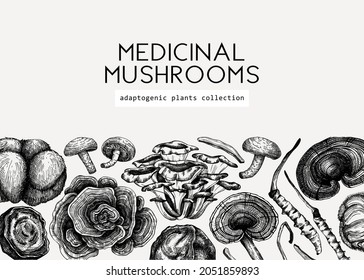 Medicinal mushroom background. Hand-sketched adaptogenic plants banner design. Perfect for recipe, menu, label, packaging. Hand sketched mushroom outlines. Botanical illustrations