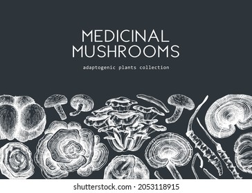 Medicinal mushroom background. Hand-sketched adaptogenic plants banner design on chalkboard. Perfect for recipe, menu, label, packaging. Hand sketched mushroom outlines. Botanical illustrations