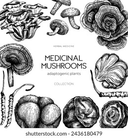 Medicinal mushroom frame design. Hand-drawn vector illustration. Adaptogenic plants sketches. Packaging design template. NOT AI generated