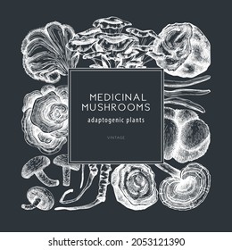 Medicinal mushroom frame on chalkboard. Hand-sketched adaptogenic plants wreath design. Perfect for recipe, menu, label, packaging. Hand sketched mushroom outlines. Botanical illustrations.