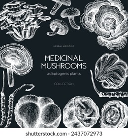 Medicinal mushroom frame on chalkboard. Hand-drawn vector illustration. Adaptogenic plant sketches. Magic mushrooms for recipe, menu, label, packaging design.