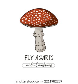 Medicinal mushroom with a red cap in white spots isolated on white. Fly Agaric for postcards, stickers. A remedy for folk medicine. A symbol of alternative treatment. Vector botanical illustration.
