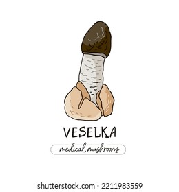 Medicinal mushroom with a red cap in white spots isolated on white. Veselka for postcards, stickers in doodle. Remedy for folk medicine. Symbol of alternative treatment. Vector botanical illustration.