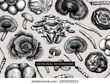 Medicinal mushroom vector background. Sketched adaptogenic plants banner design. Perfect for traditional medicine recipes, menus, labels, and packaging. Magic fungi sketches 