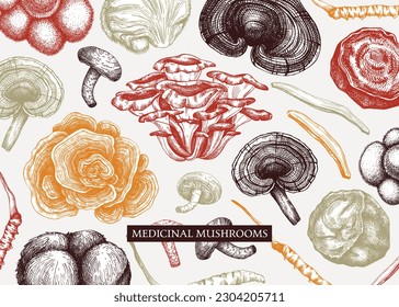Medicinal mushroom vector background  Sketched adaptogenic plants banner design  Perfect for traditional medicine recipe  menu  label  packaging  Magic fungi sketches in color 