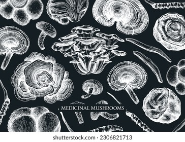 Medicinal mushroom vector background. Sketched adaptogenic plants banner design. Perfect for traditional medicine recipe, menu, label, packaging. Magic fungi sketches on chalkboard 