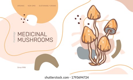 Medicinal mushrooms web site header or banner vector template. Modern abstract organic shapes, fungi illustration and text samples.