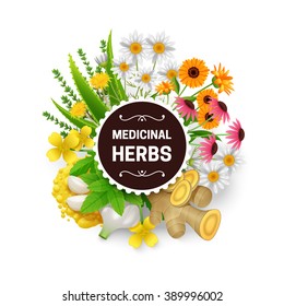 Medicinal natural healing plants and herbs decorative frame with dandelion echinacea mustard and garlic abstract vector illustration