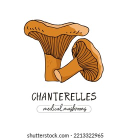 Medicinal orange mushrooms isolated on white. chanterelles for postcards, stickers in doodle style. Remedy for folk medicine. Symbol of alternative treatment. Cartoon vector botanical illustration.