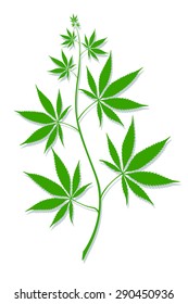 medicinal plant