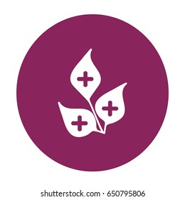 Planta medicinal. Icono.