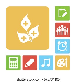 Medicinal plant. Icon.
