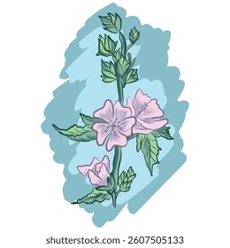 medicinal plant. marshmallow. illustration for pharmacy medicines, packaging design. vector medical illustration