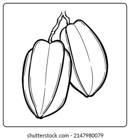 Medicinal plant series coloring book Coloring page_Herbal_Star fruids