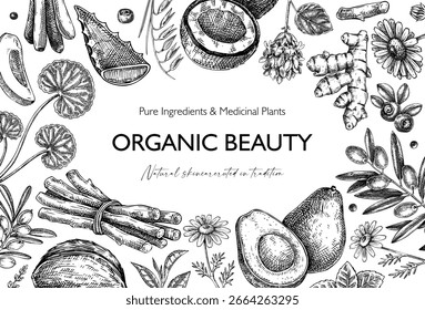 Fondo de plantas medicinales. Ilustración vectorial de frutas y hierbas dibujadas a mano. Diseño de marco de medicina herbaria. No se ha generado IA