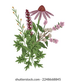 Medicinal plants bunch isolated illustration