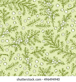 Medicinal plants Seamless pattern. Hand Drawn Juniper branch, Leaves and Berries. Alternative medicine. Biological additives are. Traditional herbal therapy. Vector illustration