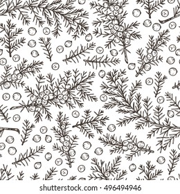 Medicinal plants Seamless pattern. Hand Drawn Juniper branch, Leaves and Berries. Alternative medicine. Biological additives are. Traditional herbal therapy. Vector illustration