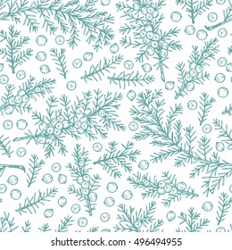 Medicinal plants Seamless pattern. Hand Drawn Juniper branch, Leaves and Berries. Alternative medicine. Biological additives are. Traditional herbal therapy. Vector illustration