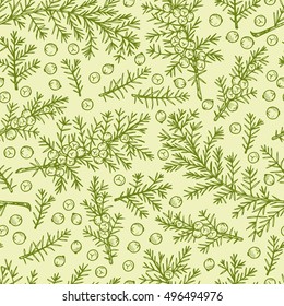 Medicinal plants Seamless pattern. Hand Drawn Juniper branch, Leaves and Berries. Alternative medicine. Biological additives are. Traditional herbal therapy. Vector illustration