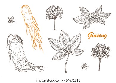 漢方 イラスト の画像 写真素材 ベクター画像 Shutterstock 漢方 イラスト の画像 写真素材 ベクター画像 Shutterstock