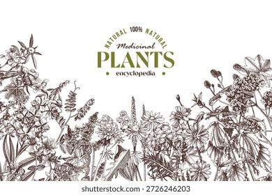 Plantas medicinais vetor fundo em estilo retrô