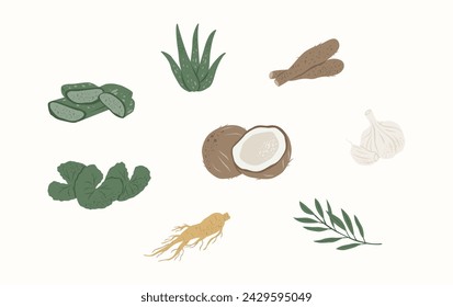 Medizinische Pflanzen Vektor-Illustration im flachen Stil