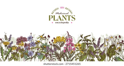 Plantas medicinais vetor fronteira sem emenda