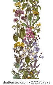 Plantas medicinais vetor fronteira sem emenda