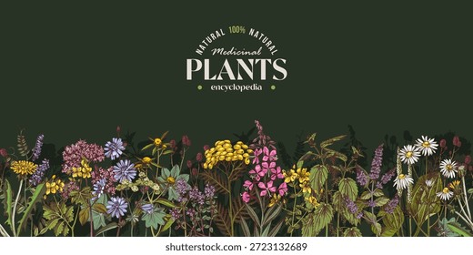 Plantas medicinais vetor fronteira sem emenda