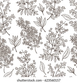 Medicinal plants Vector Seamless pattern. Henna (Lawsonia inermis) plant: Branches, Flower buds, Flowers, Seeds, Fresh Leaves. Alternative medicine Floral background