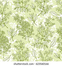 Medicinal plants Vector Seamless pattern. Henna (Lawsonia inermis) plant: Branches, Flower buds, Flowers, Seeds, Fresh Leaves. Alternative medicine Floral background