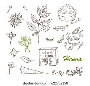 Medicinal plants Vector Set. Henna plant. Lawsonia inermis plant: Flower buds, Flowers, Seeds, Fresh Leaves, Dry leaves, Henna Powder, Mehandi cone. Alternative medicine. Traditional herbal therapy